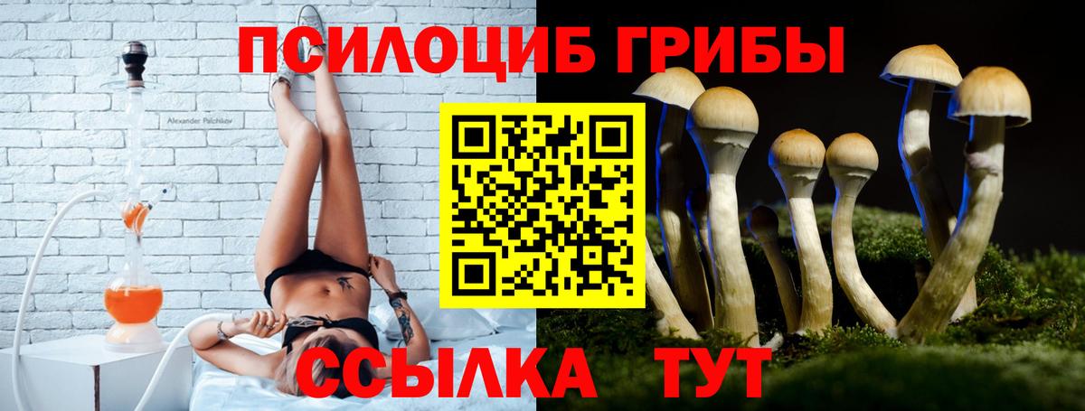 цены   Псилоцибиновые грибы Magic Shrooms  Вход с VPN  Жуковский 